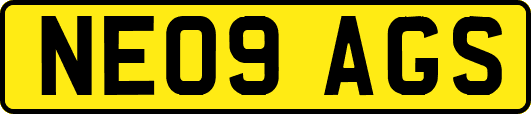 NE09AGS