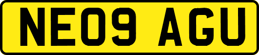 NE09AGU