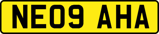NE09AHA