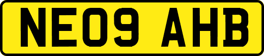 NE09AHB