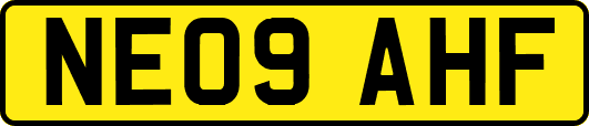 NE09AHF