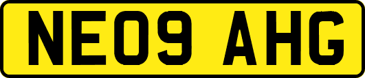 NE09AHG