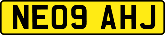 NE09AHJ