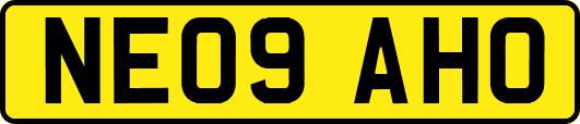 NE09AHO