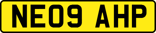 NE09AHP