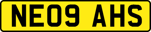 NE09AHS