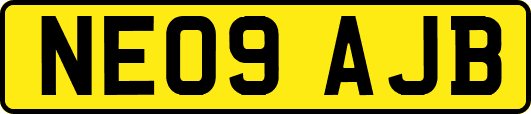 NE09AJB