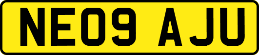 NE09AJU