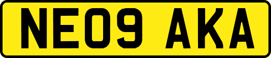 NE09AKA