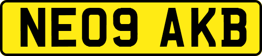 NE09AKB