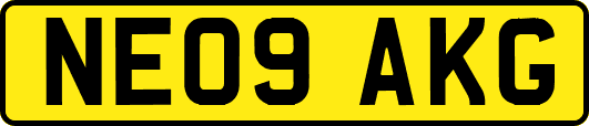 NE09AKG