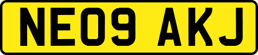 NE09AKJ