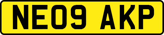 NE09AKP