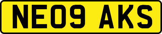 NE09AKS