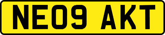 NE09AKT