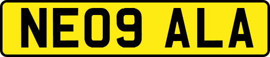 NE09ALA