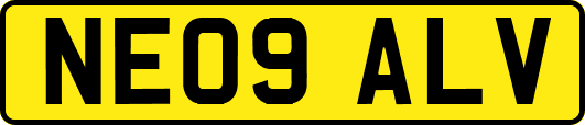 NE09ALV