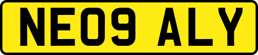 NE09ALY