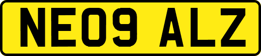 NE09ALZ