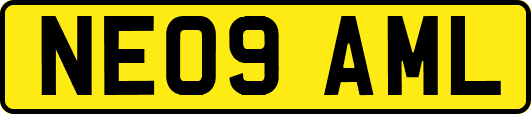NE09AML