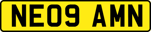 NE09AMN