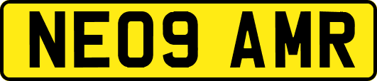 NE09AMR