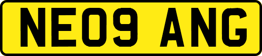 NE09ANG