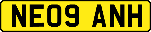NE09ANH