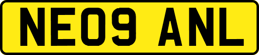 NE09ANL