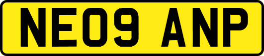 NE09ANP
