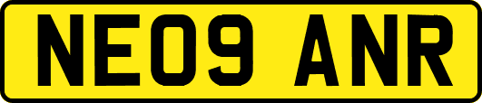 NE09ANR