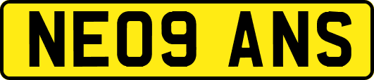 NE09ANS