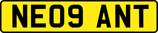 NE09ANT