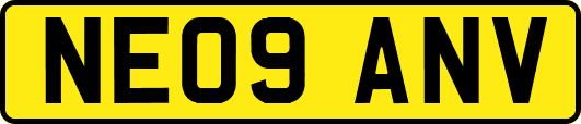 NE09ANV