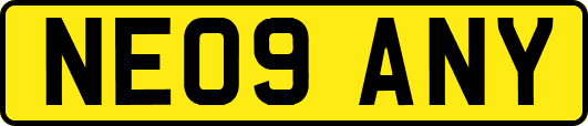NE09ANY