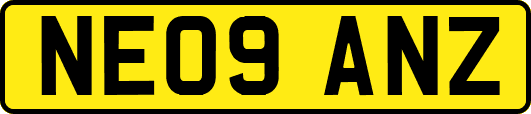 NE09ANZ