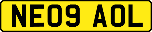 NE09AOL