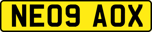 NE09AOX