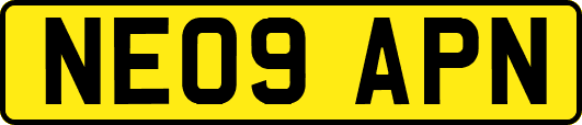 NE09APN