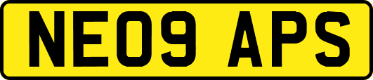 NE09APS