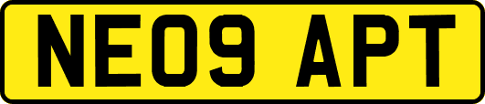 NE09APT