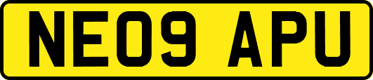 NE09APU