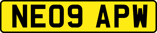 NE09APW