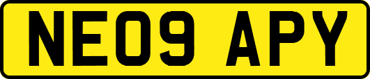 NE09APY