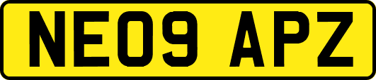 NE09APZ