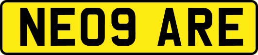 NE09ARE