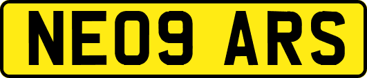 NE09ARS