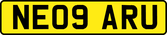 NE09ARU