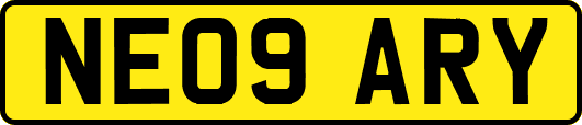 NE09ARY