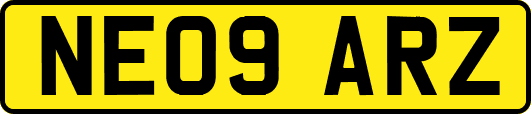 NE09ARZ